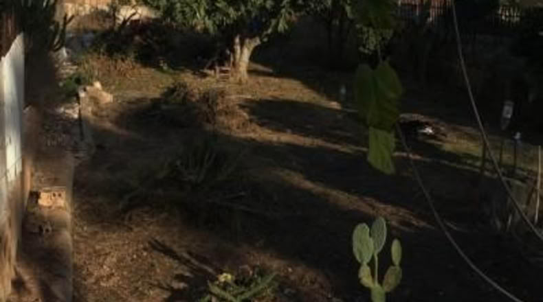 Múrcia - Murcia - 387m2