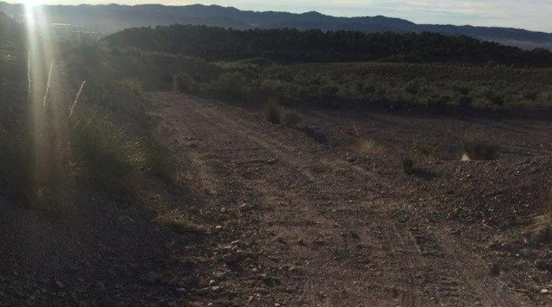 Múrcia - Lorca - 5000m2