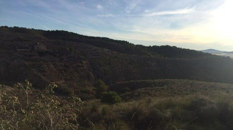 Múrcia - Lorca - 5000m2