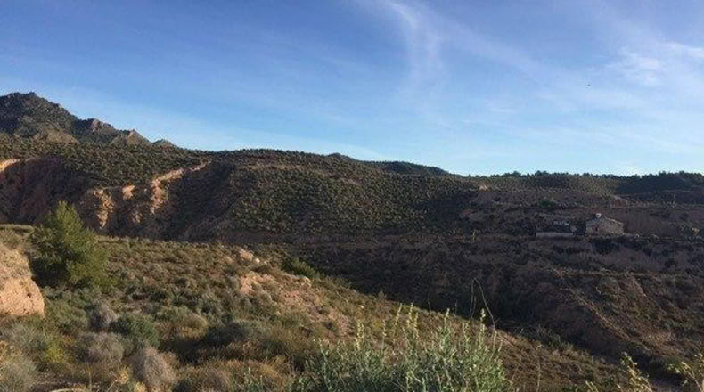 Múrcia - Lorca - 5000m2
