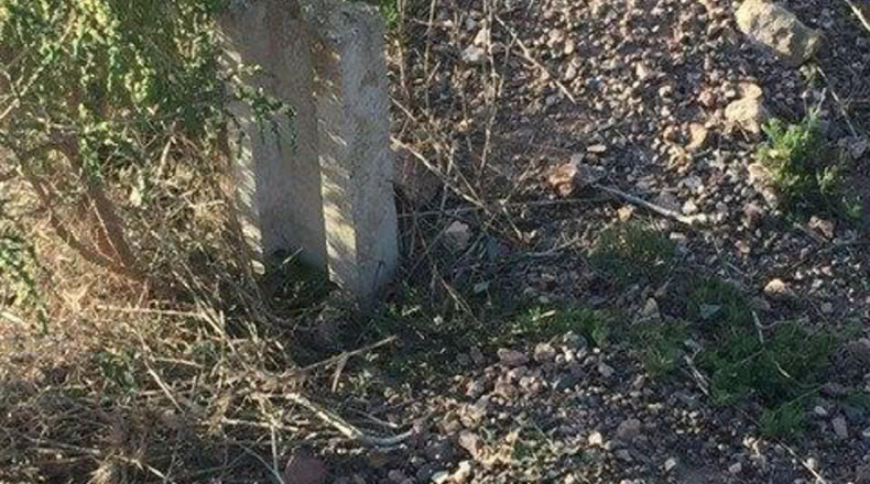 Múrcia - Lorca - 5000m2