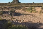 Terreny no urbanitzable en venda a la España, Lorca, ref.: TR119638 foto