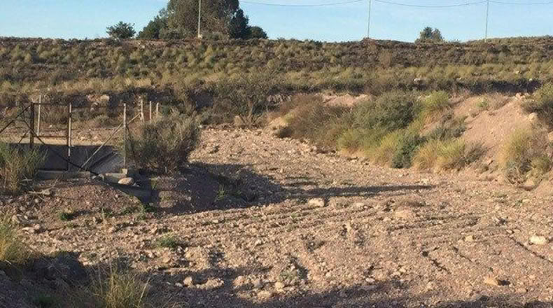 Múrcia - Lorca - 5000m2