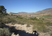 Terreny no urbanitzable en venda a la España, el Fondó de les Neus, ref.: TR119671 foto