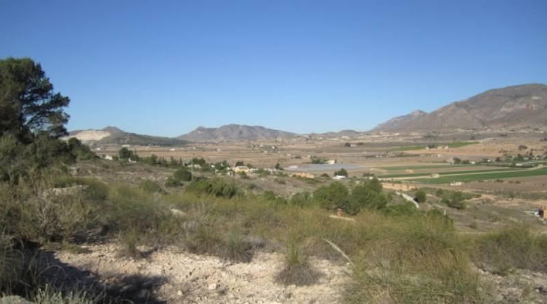 Alicante - Hondón de las Nieves - 13500m2