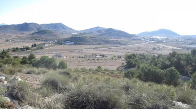 Alicante - Hondón de las Nieves - 13500m2