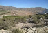 Terreny no urbanitzable en venda a la España, el Fondó de les Neus, ref.: TR119671 foto