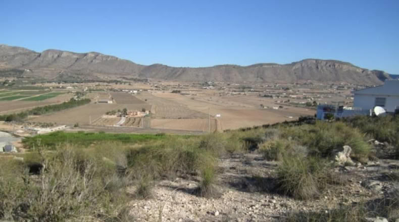 Alicante - Hondón de las Nieves - 13500m2