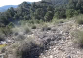 Terreny no urbanitzable en venda a la España, el Fondó de les Neus, ref.: TR119671 foto