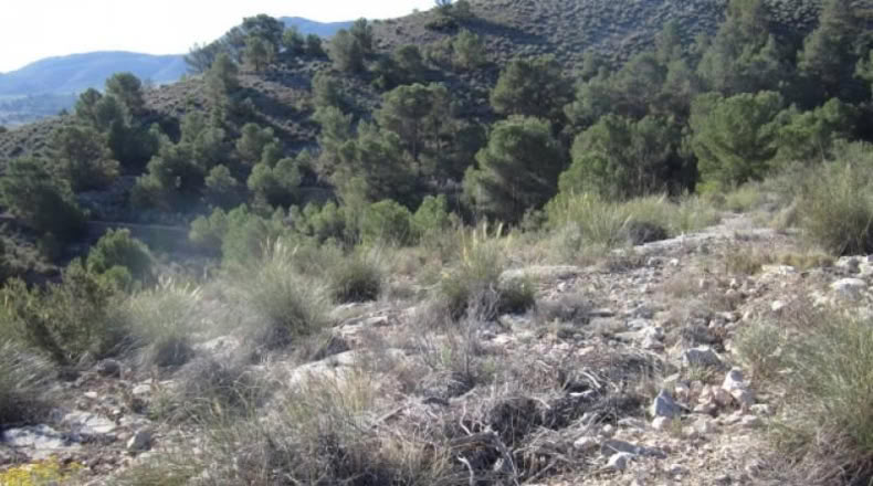 Alicante - Hondón de las Nieves - 13500m2