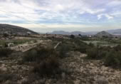 Non-developable land for sale on España, Novelda, ref: TR119679 photo