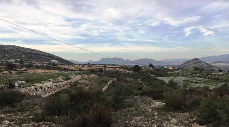 Alicante - Novelda - 10241m2