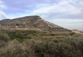 Non-developable land for sale on España, Novelda, ref: TR119679 photo