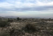 Non-developable land for sale on España, Novelda, ref: TR119679 photo