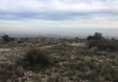 Non-developable land for sale on España, Novelda, ref: TR119679 photo