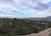 Non-developable land for sale on España, Novelda, ref: TR119679 photo