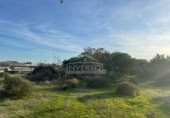 Land suitable for development for sale on España, El Ejido, ref: TR119908 photo