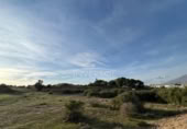 Land suitable for development for sale on España, El Ejido, ref: TR119908 photo