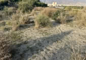 Land suitable for development for sale on España, El Ejido, ref: TR119908 photo