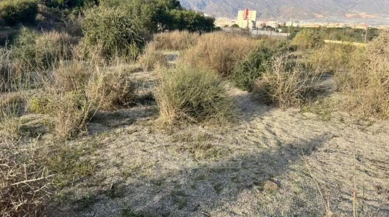 Almeria - El Ejido - 2727m2
