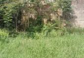 Parcel·la urbanitzable en venda a la España, Vacarisses, ref.: TR249873 foto