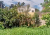 Parcel·la urbanitzable en venda a la España, Vacarisses, ref.: TR249873 foto