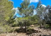 Terreno no urbanizable en venta en la España, el Perelló, ref: TR123290 foto