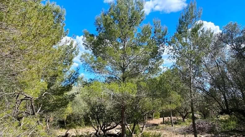 Tarragona - el Perelló - 16518m2