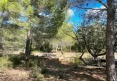 Terreno no urbanizable en venta en la España, el Perelló, ref: TR123290 foto