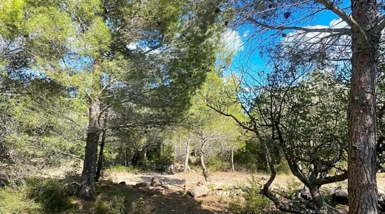 Tarragona - el Perelló - 16518m2
