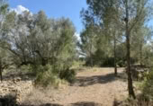 Terreno no urbanizable en venta en la España, el Perelló, ref: TR123290 foto