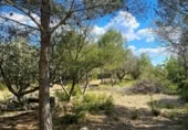 Terreno no urbanizable en venta en la España, el Perelló, ref: TR123290 foto