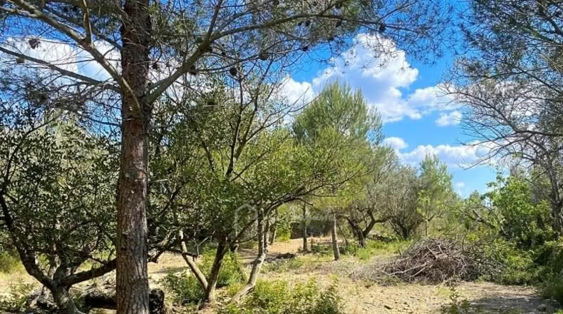 Tarragona - el Perelló - 16518m2