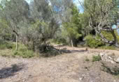 Terreno no urbanizable en venta en la España, el Perelló, ref: TR123290 foto