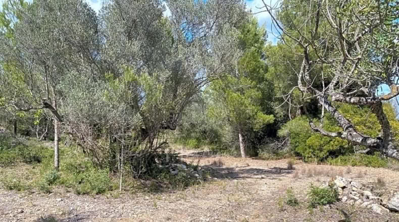 Tarragona - el Perelló - 16518m2