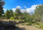 Terreno no urbanizable en venta en la España, el Perelló, ref: TR123290 foto