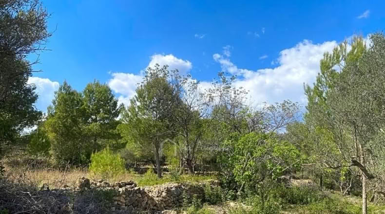 Tarragona - el Perelló - 16518m2