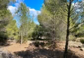 Terreno no urbanizable en venta en la España, el Perelló, ref: TR123290 foto