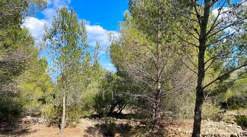 Tarragona - el Perelló - 16518m2