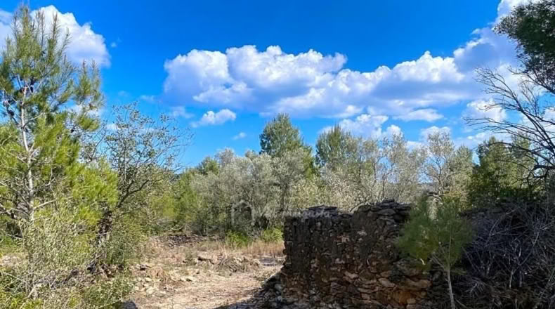 Tarragona - el Perelló - 16518m2
