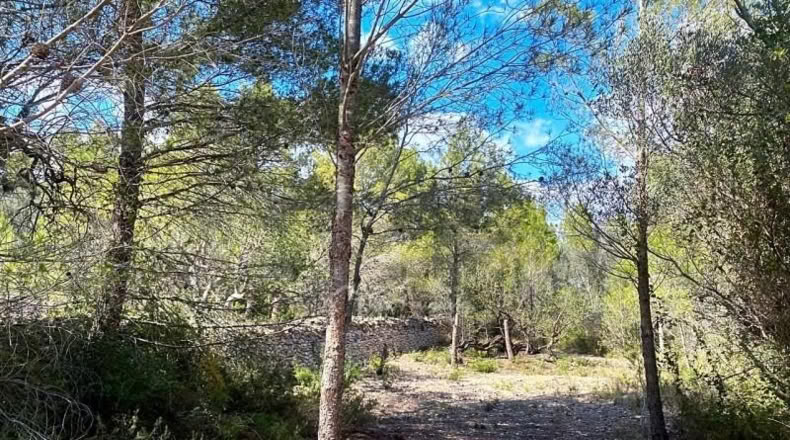 Tarragona - el Perelló - 16518m2