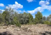 Terreno no urbanizable en venta en la España, el Perelló, ref: TR123290 foto
