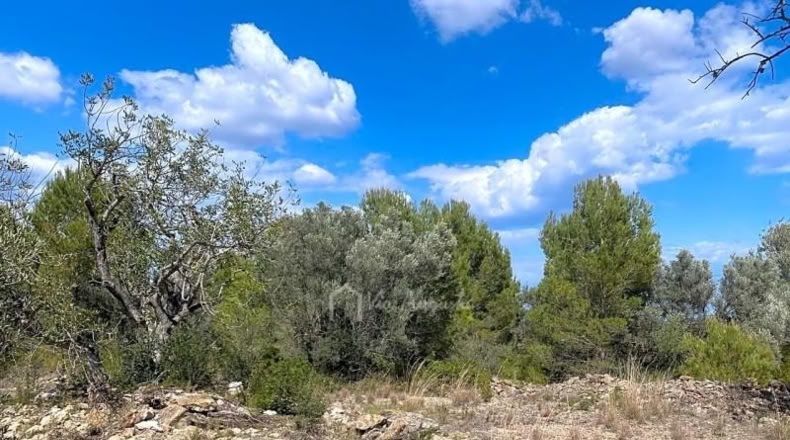 Tarragona - el Perelló - 16518m2