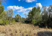 Terreno no urbanizable en venta en la España, el Perelló, ref: TR123290 foto