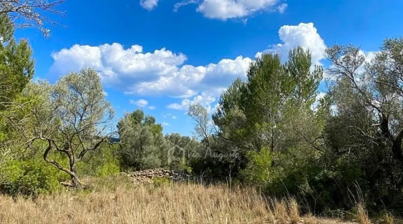 Tarragona - el Perelló - 16518m2