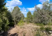 Terreno no urbanizable en venta en la España, el Perelló, ref: TR123290 foto