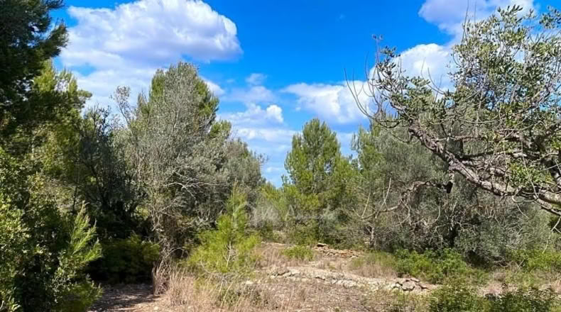 Tarragona - el Perelló - 16518m2