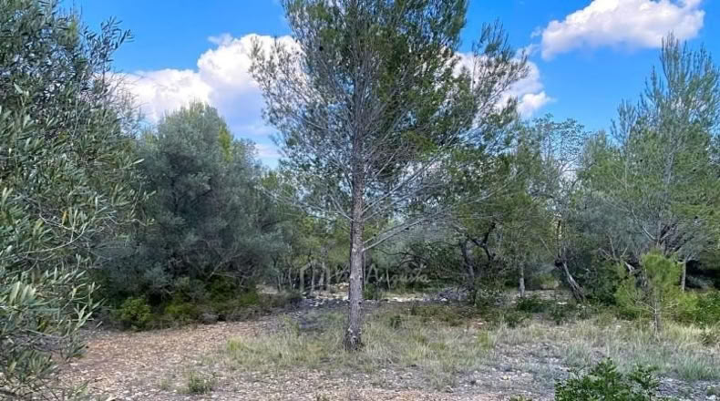 Tarragona - el Perelló - 16518m2