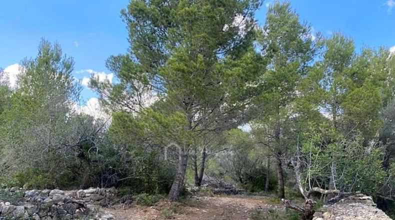 Tarragona - el Perelló - 16518m2