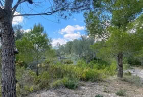 Foto 15